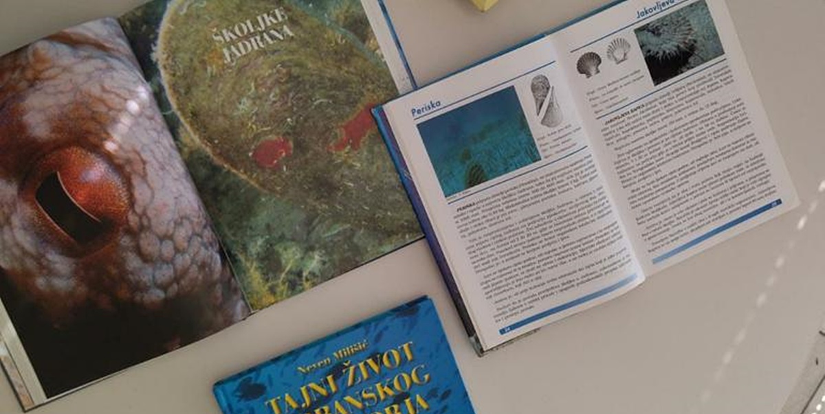Besplatan upis prvašića u Dubrovačke knjižnice
