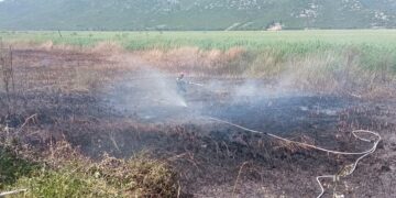 Nedostaje kuhara, konobara, liječnika, ali ako ostanemo bez ovih sezonskih radnika trebamo se ozbiljno zabrinuti