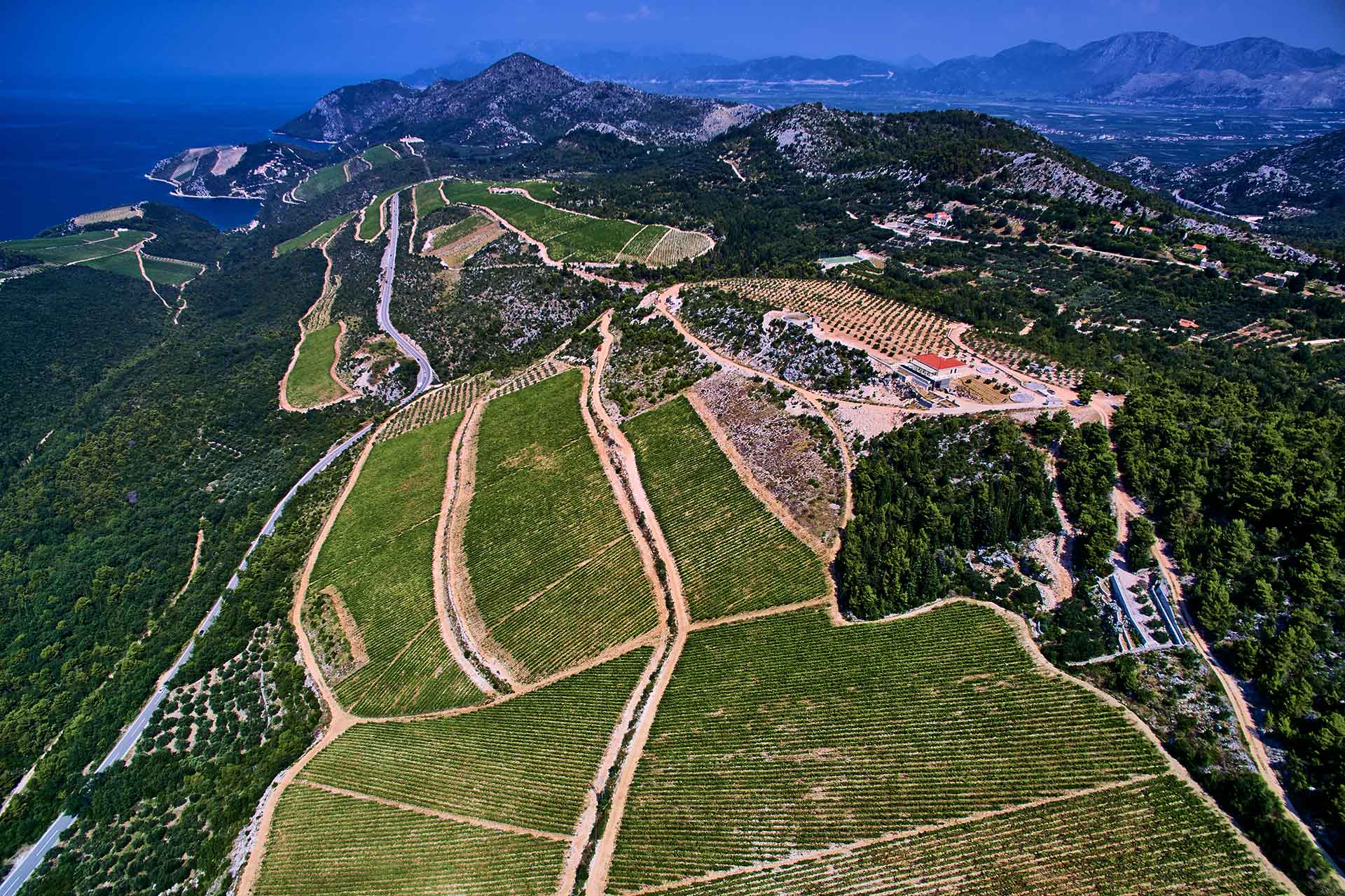 Pobuna vinara iz Slivnog, a načelnik im odgovara: Za svoje vinarije izborite se na drugoj adresi