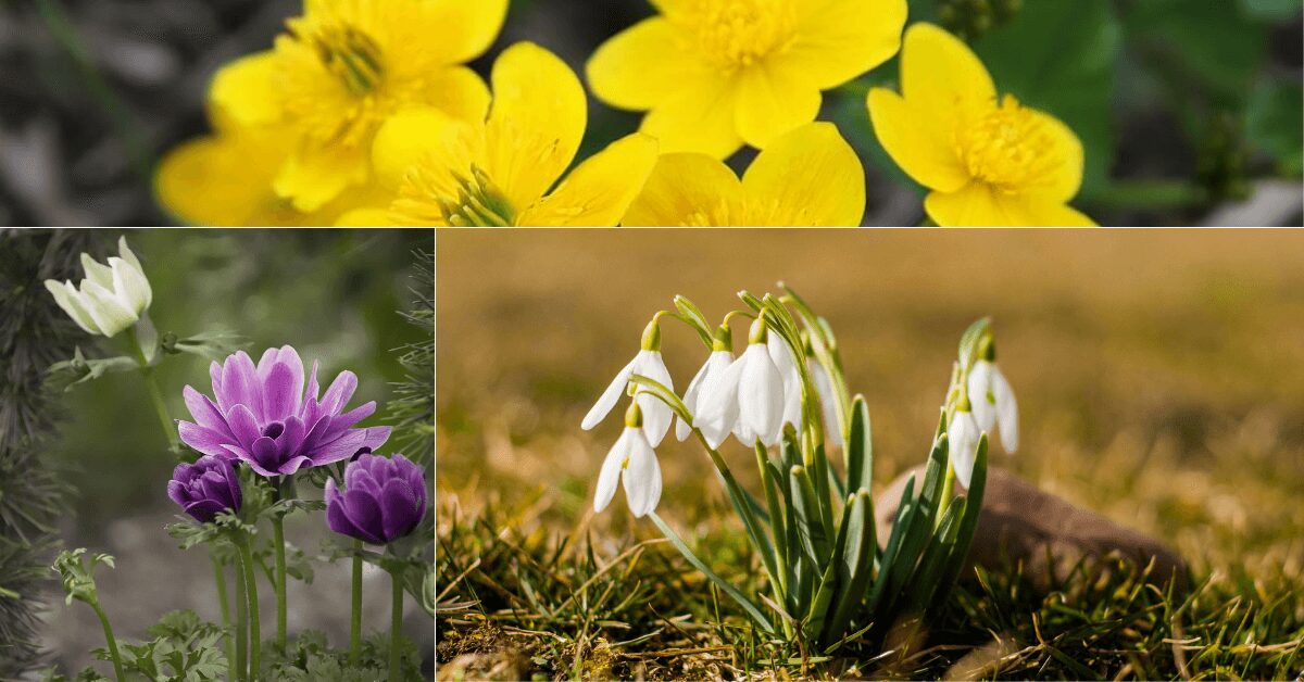 PROGNOSTIČAR Još malo strpljenja, nema pravog proljeća dok ne prođu još dvije marčane bure