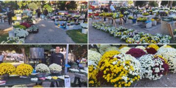 Jesenska čarolija u Gružu: Pogledajte najljepše aranžmane za blagdan Svih svetih. I cijene