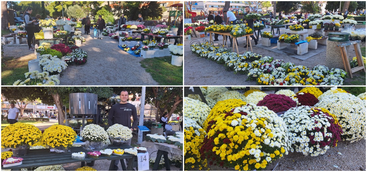 Jesenska čarolija u Gružu: Pogledajte najljepše aranžmane za blagdan Svih svetih. I cijene
