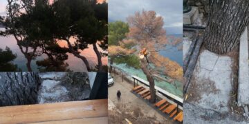 Je li moguć suživot ugostitelja i borova? Da, ali ne s betonom ni na restoranskoj magistrali