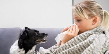 EKSPLOZIJA OBOLJELIH OD GRIPE Najgore u Dalmaciji i na jugu, dvoje umrlo, tko je najugroženiji