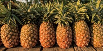 Znate li što je avionski ananas? Evo zašto je hit među gurmanima