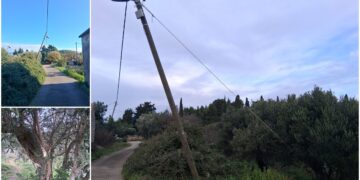 [FOTO] Evo kako Elektrojug rješava probleme na otocima: maslina kao nijemi svjedok nebrige