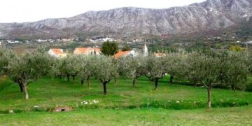 Poljoprivrednici javite se: Općina dodjeljuje potpore