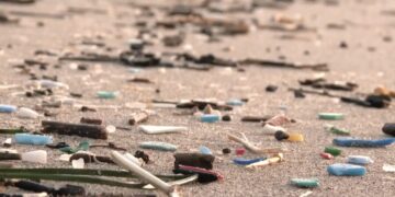 Mikroplastika u zraku i moru prijeti zdravlju: Za koju godinu u moru će biti ribe koliko i plasike