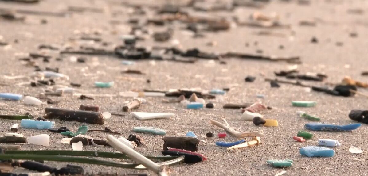 POVODOM DANA PLANETA ZEMLJE Ove srijede akcija čišćenja plaže pokraj Trstenika