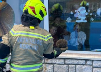 INTERVENCIJA I LEKCIJA Čudo je i vijest za naslovnice koliko ovi vatrogasci vole životinje, danas su spasili ježa