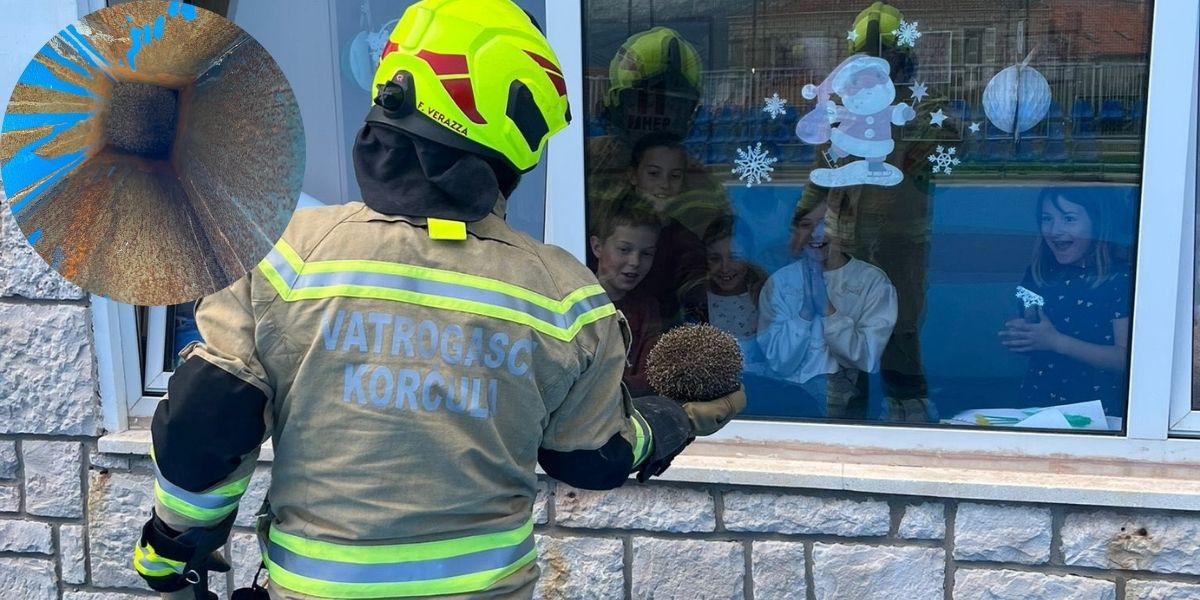 INTERVENCIJA I LEKCIJA Čudo je i vijest za naslovnice koliko ovi vatrogasci vole životinje, danas su spasili ježa