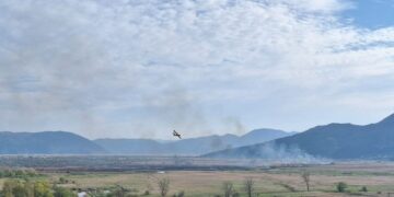 VELIKA EKOKATASTROFA U dolini Neretve za brojne rijetke vrste ptica više nema života, tko je kriv