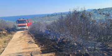Gorjelo na Korčuli: Vatrogasci spasili maslinike (FOTO)