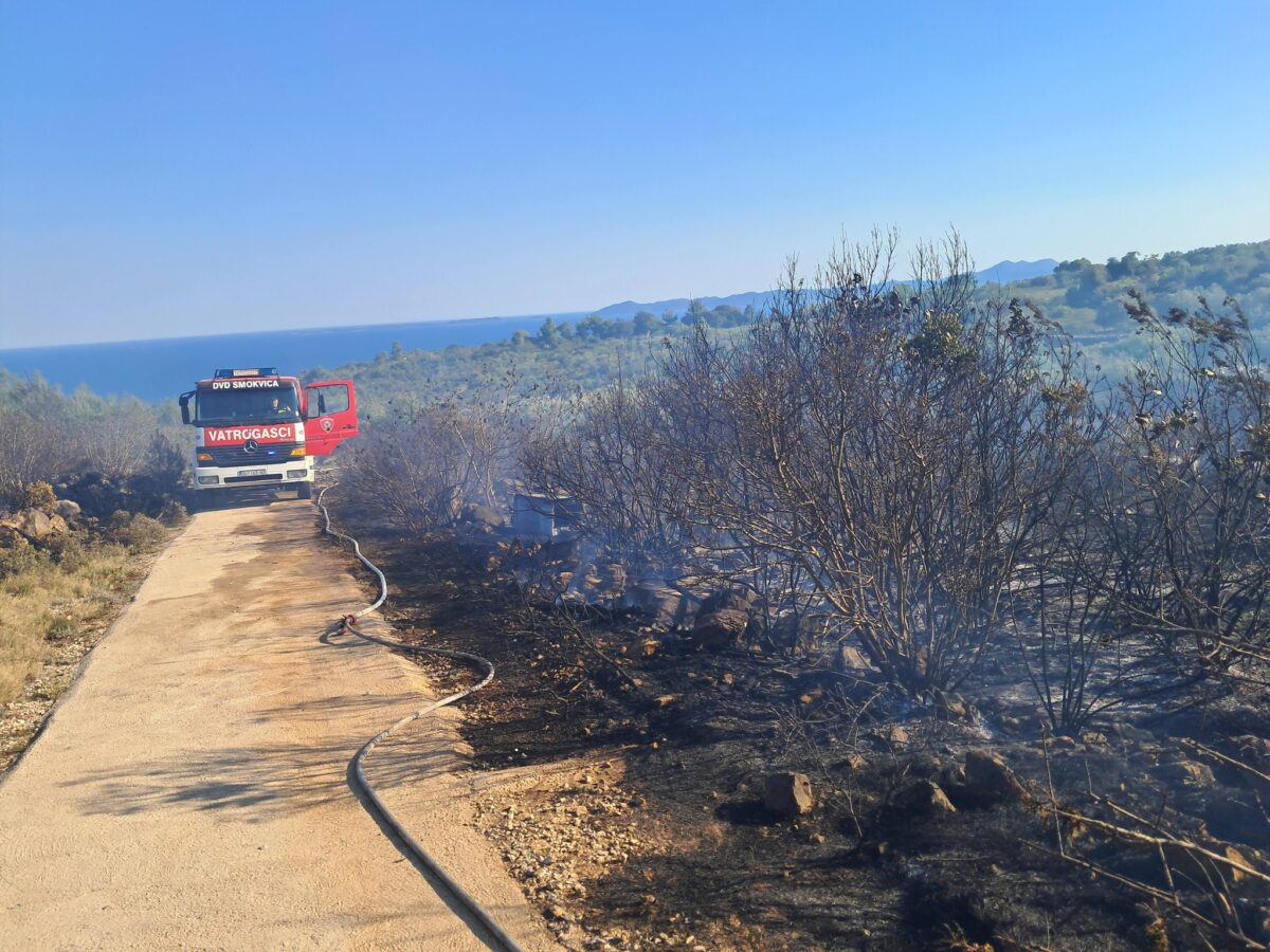 Gorjelo na Korčuli: Vatrogasci spasili maslinike (FOTO)