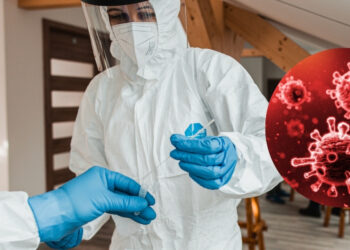 Hanta virus zabilježen je i Hrvatskoj, ali je ipak drugačiji od onoga koji je zabilježen na kruzeru