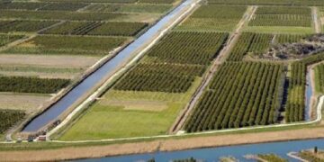 Tko zagađuje dolinu otpadom pesticida? Neretvanska mladež odbacuje optužbe: Nismo mi!