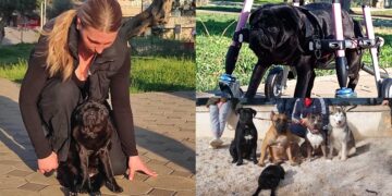 Na četiri kotačića kroz život: Priča o Baby koja će vas ostaviti u čudu