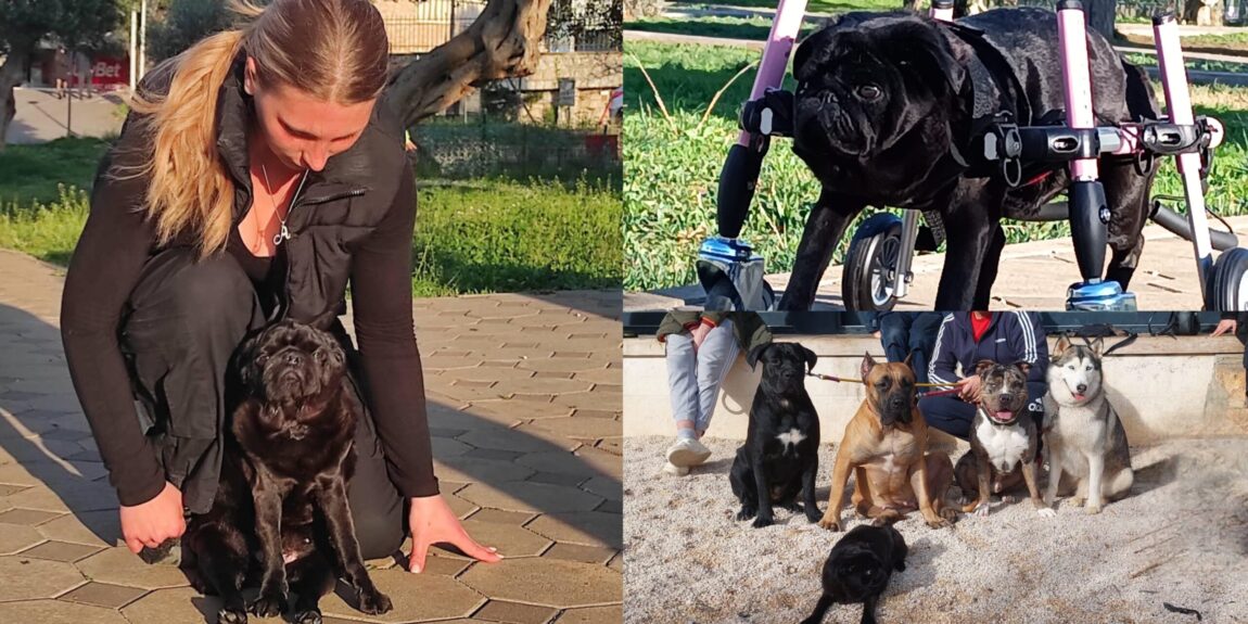 Na četiri kotačića kroz život: Priča o Baby koja će vas ostaviti u čudu
