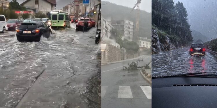 Nevrijeme pogodilo Dubrovnik. Poplavljene ulice, srušena stabla i kolone auta