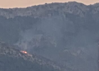 [VIDEO] ŠUMSKI POŽAR Vatra buknula od udara groma, brzo se širi, visoke temperature ne pomažu