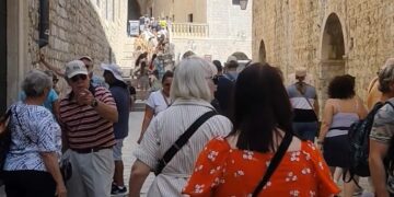 [VIDEO] Fenomen “migracije lososa” ili operacija “doći do Ploča” uspješno započela – završetak nepoznat