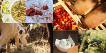 TasteAtlas izdvojio najbolje hrvatske restorane, među njima dva iz županije, ali nijedan iz Dubrovnika