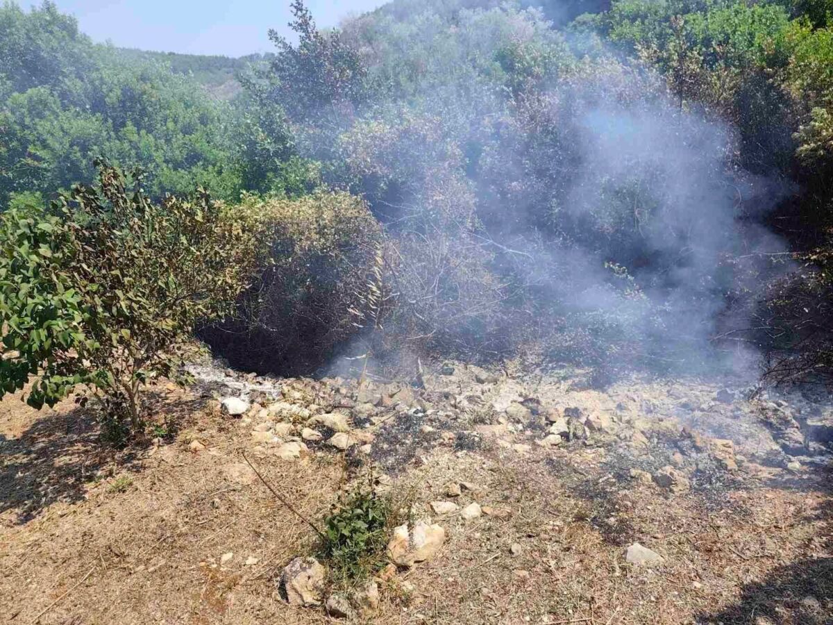 Dva požara na Mljetu pod kontrolom, vatrogasci ostaju na terenu