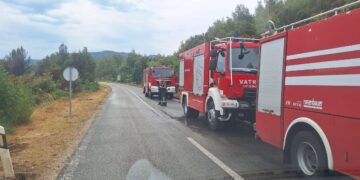 Tijekom intervencije na Korčuli ozlijeđena dva vatrogasca