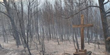 Situacija s požarom na Korčuli samo je gora, počeo se širiti na i na druga mjesta