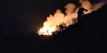 GORI I LASTOVO Zapovjednik DVD-a Frlan potvrdio požar