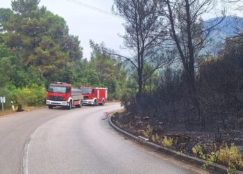 GROM ZAPALIO DVIJE LOKACIJE Oba požara ugašena brzom intervencijom vatrogasaca