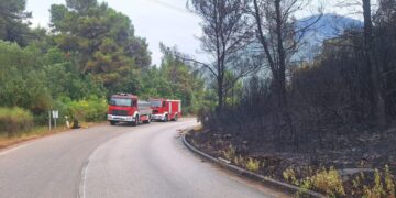 GROM ZAPALIO DVIJE LOKACIJE Oba požara ugašena brzom intervencijom vatrogasaca
