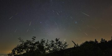 SUZE SVETOG LOVRE  Nisu zvijezde, a ni naziv nije ono što mislite!