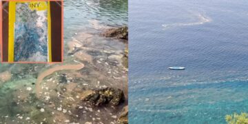 ŠTO PLUTA JUGOM KORČULE? Proglašeno fekalijama, pronađene vrećice za bistrenje vina, a postoji i treća mogućnost