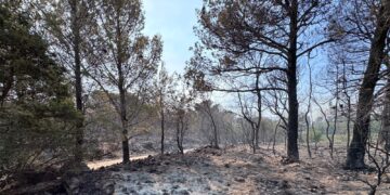 PELJEŠAC I DALJE GORI kilometarska kolona prema Trpnju, stigao Sv. Duje, donosimo sve informacije
