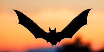 Danas je Batman Day: Junak bez supermoći već 87 godina osvaja svijet
