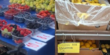 VOĆE NA PJACI Za 10 eura 250 grama, a u trgovini smo za istu cijenu kupili čak 5 kilograma