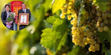 JO, MA JO! Tko se krije iza neobičnog naziva vinarije? Ovoga ima samo na otoku, upoznajte obitelj Pecotić Kokot i njihova vina
