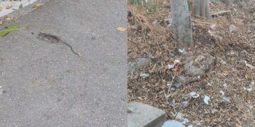[VIDEO] SRAMOTA Morali smo proći pod Dubom, a prizor smeća slama srce (a i smeta nosu)
