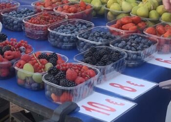 TKO SI OVO MOŽE PRIUŠTITI? Šokirat će vas cijena voća na pjaci!