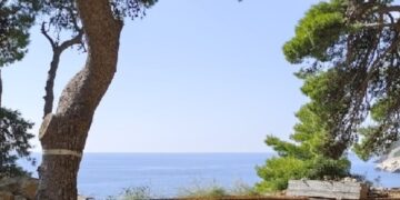 Jesenske aktivnosti: Ideje za dane koje ne želite provesti u dosadi