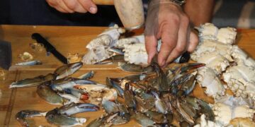 FOTO: U znaku plavog raka: „Od mora do stola“ spojio gastronomiju, ekologiju i tradiciju Neretve