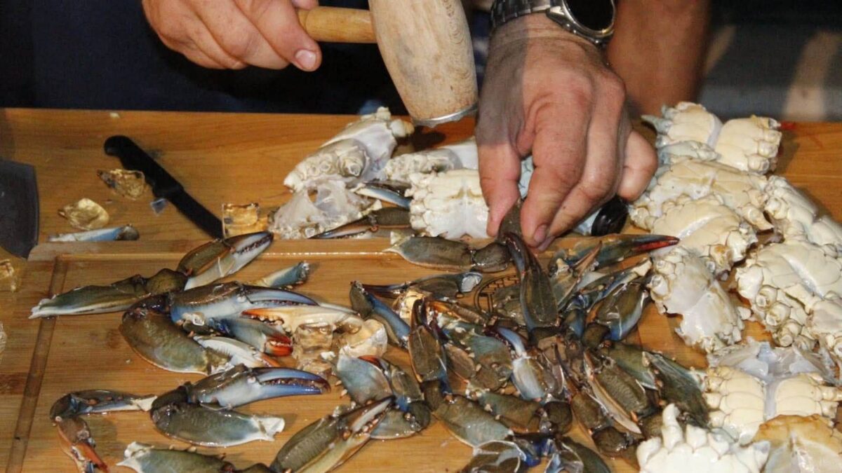 Od invazivne vrste do delicije: Plavi rak osvojio Opuzen, ali borba za Neretvu tek je počela