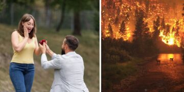 Zapalio šumu jer je cura odbila prosidbu i što sad? Kakva kazna čeka mladića i Čapljine?