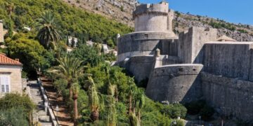 Posađene palme Uz Posat, još jedan korak prema zelenijem i uređenijem Dubrovniku