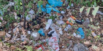 Sramotni prizori u Vukovarskoj: Zelena površina zatrpana otpadom (FOTO)