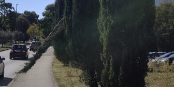 Čempres kod dubrovačke bolnice postao „prirodna rampa“: Pješaci, snađite se kako znate