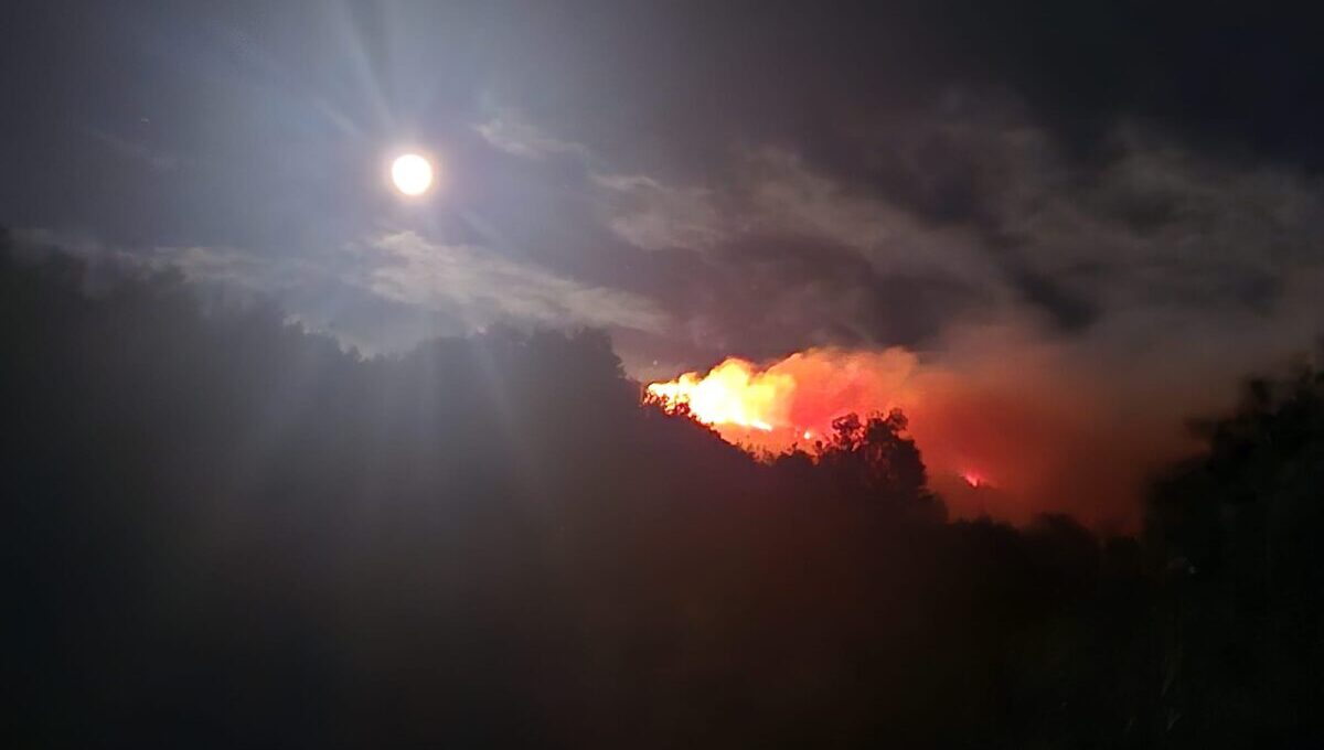 Jaka bura otežavala gašenje požara iznad Vrbice, na terenu bile sve raspoložive snage