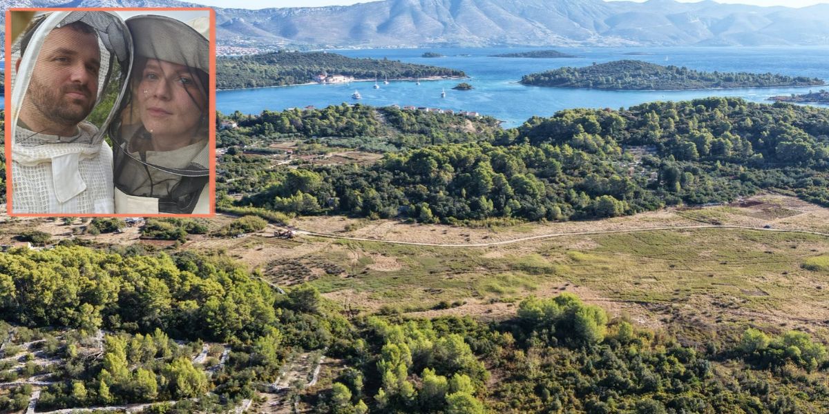 POSVOJITE MASLINU Na otoku za 50 eura možete dobiti stablo koje će vas nadživjeti, ideja ove mlade obitelji je hit!