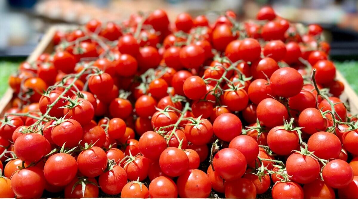 Salmonela u cherry rajčicama iz Italije: Ima li razloga za zabrinutost u Dubrovačko-neretvanskoj županiji?